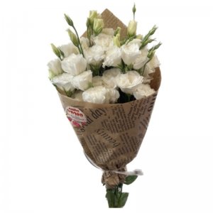 באנ'ץ ליזינטוס