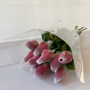 חבילת ורדים אדומים