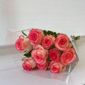 חבילת ורדים ורודים