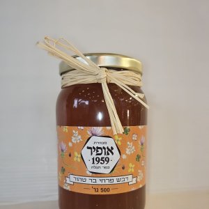 דבש פרחי בר טהור