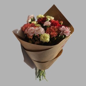 באנץ' ציפורן מיקס צבעים