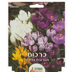 פקעות כרכום
