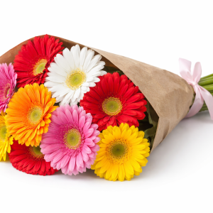 באנץ' גרברות