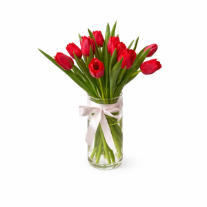 זר טוליפ קלאסי