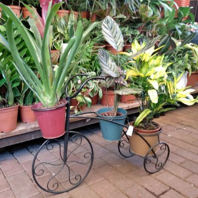 אופניים עם עציצים