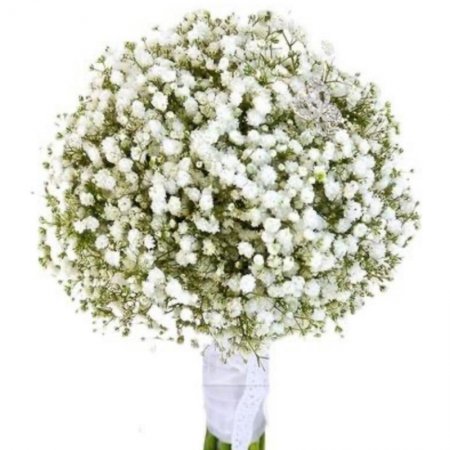 זר כלה גיבסנית