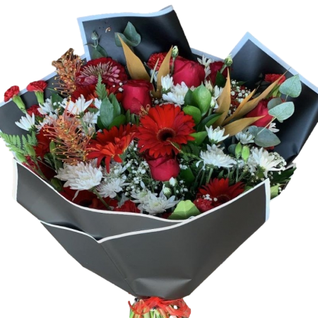 זר אבל שוכב