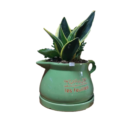 קוקטייל קומקום פורח