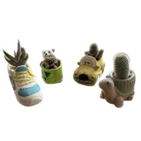 קקטוס בכד קרמי מעוצב