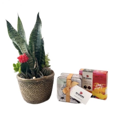 קוקטייל עם סולו לבן ופרלינים DE ART