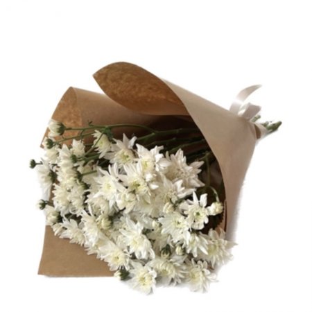 חבילת חרצית לבנה