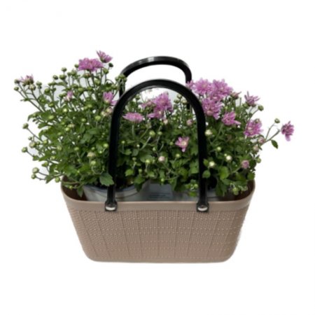 תיק פורח עם חרציות