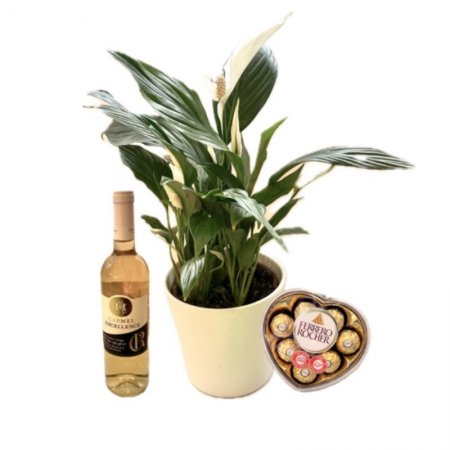 ספטיפליום לבן חגיגי בקרמיקה יין ושוקולד