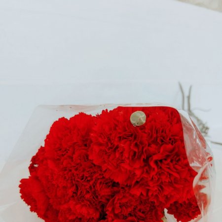 באנץ' ציפורן