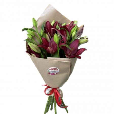 באנץ ליליות