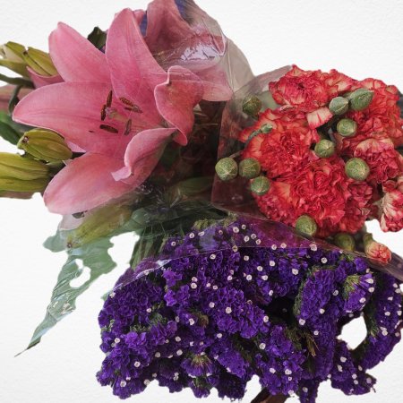 חבילת שלשת הרגלים