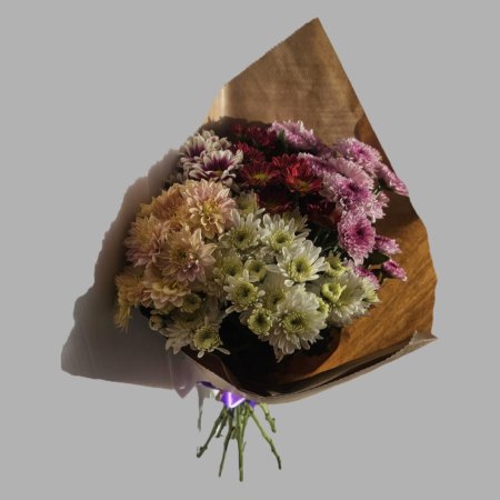 באנץ' חרצית AAA מיקס צבעים