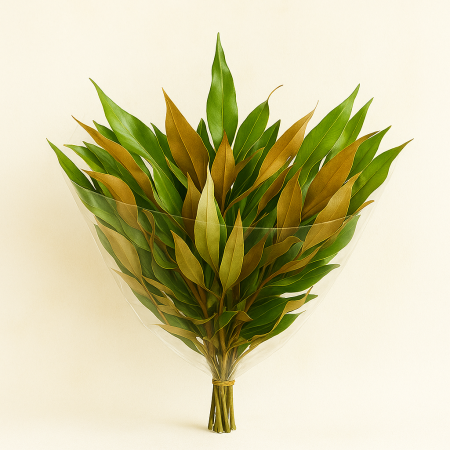 גרבילאה זהב