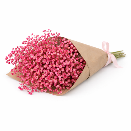 באנץ' גיבסנית אדומה