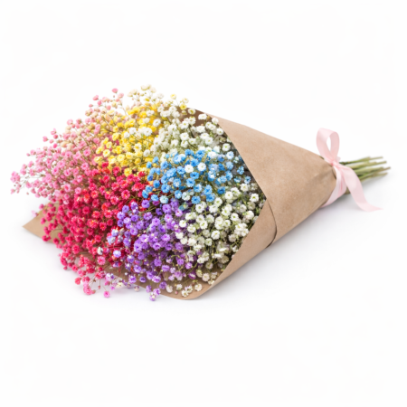 באנץ' גיבסנית מיקס צבעים