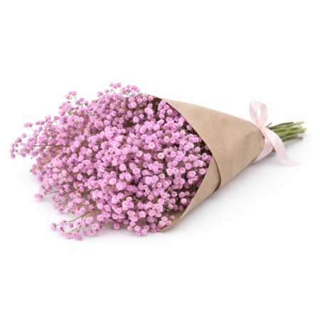 באנץ' גיבסנית ורודה