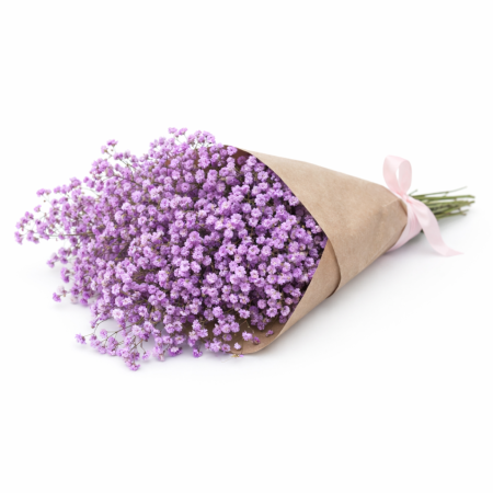 באנץ' גיבסנית סגולה